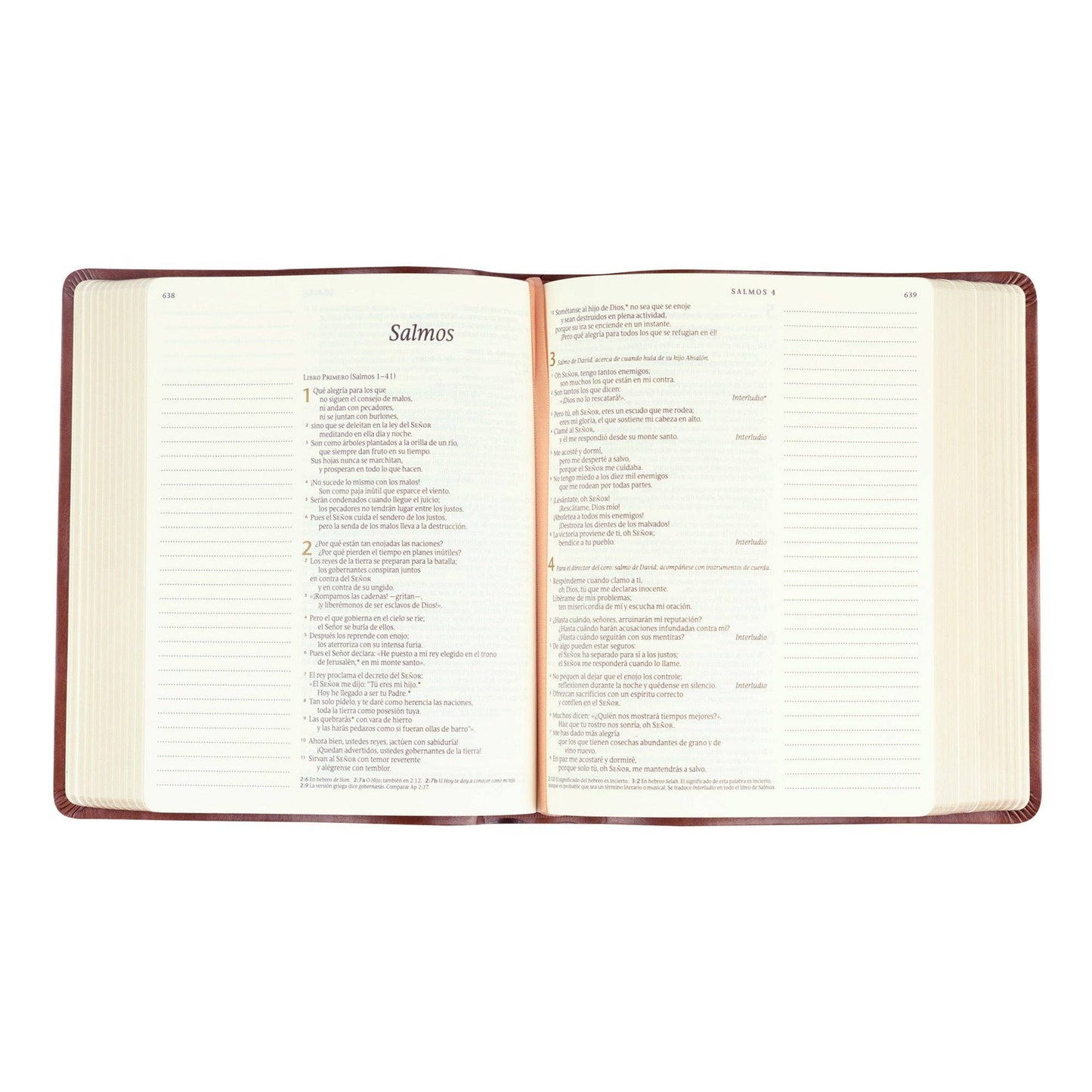 NTV Spanish Notetaking Bible: Aurora Theme