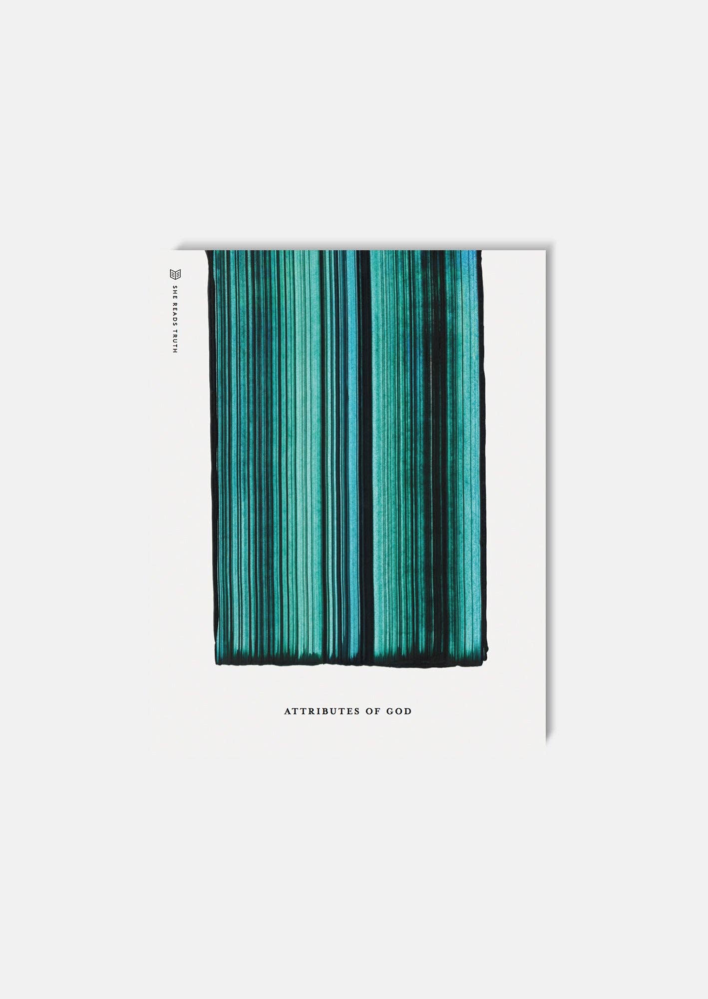 Attributes of God Study Book | She Reads Truth