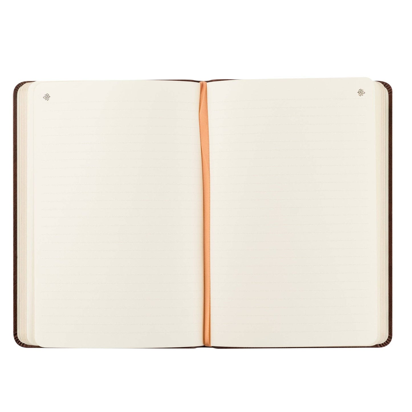 Notebook: Palma Theme