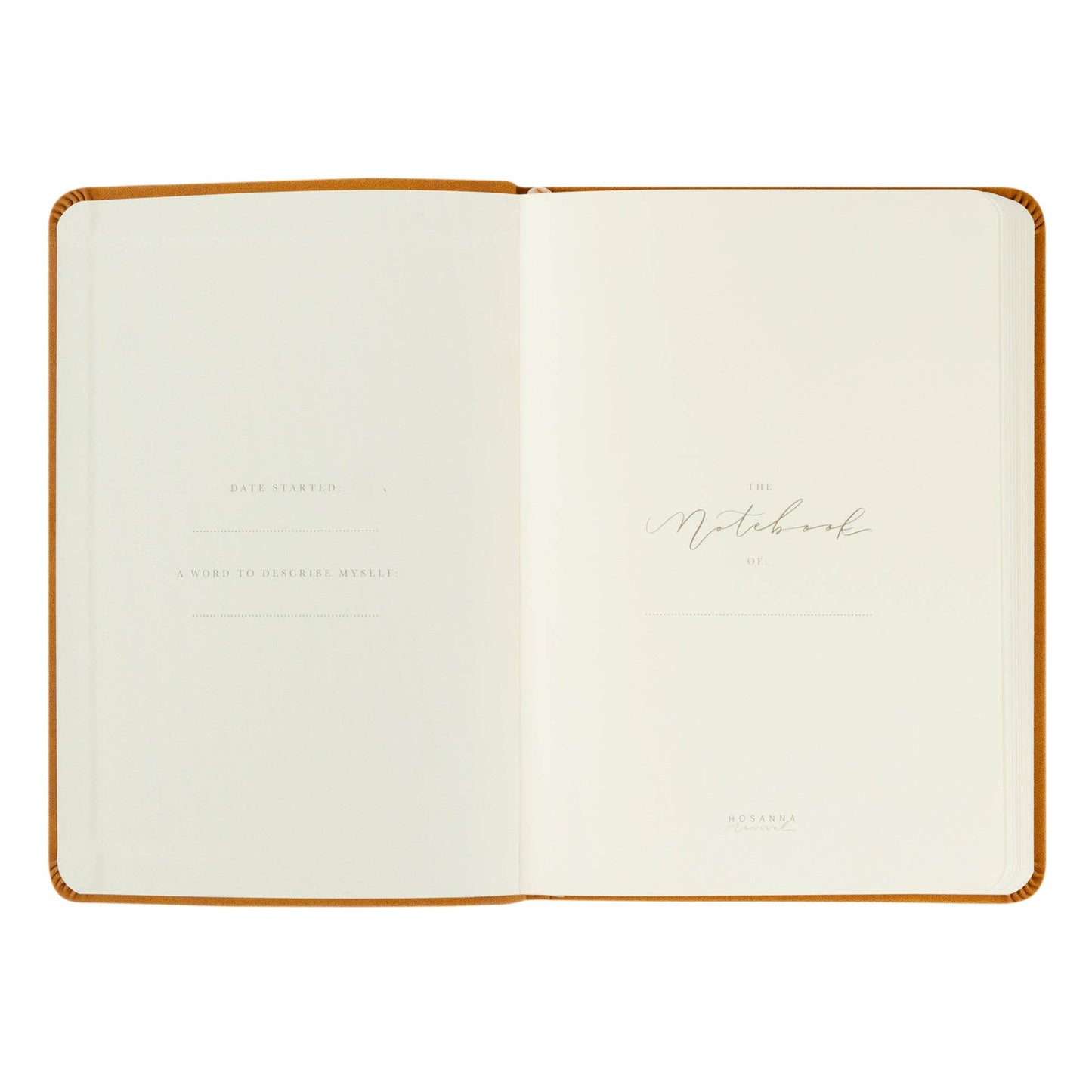 Hosanna Revival Notebook : Amelia Theme