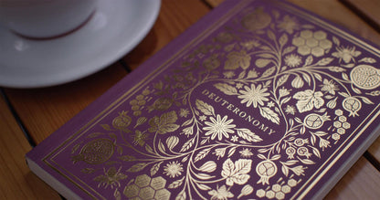 ESV Illuminated Scripture Journal