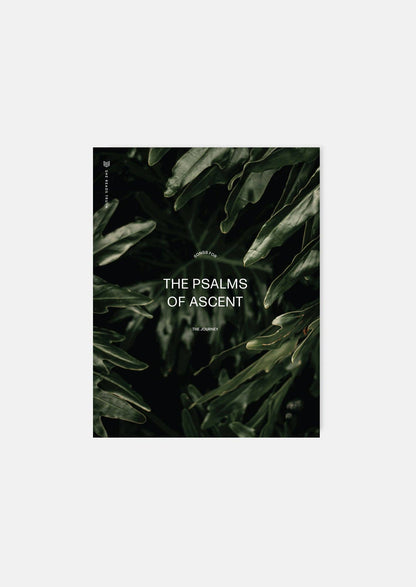 The Psalms of Ascent Women's Reading Guide