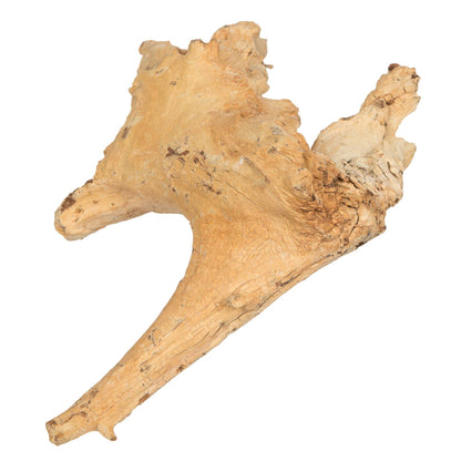 Vickerman 9-12" Bleached Amazonian Root Small 1Pc: Bleached / Wood / 9-12"