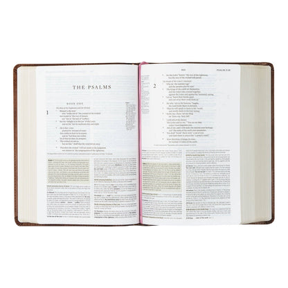 ESV Study Bible: Aurora Theme