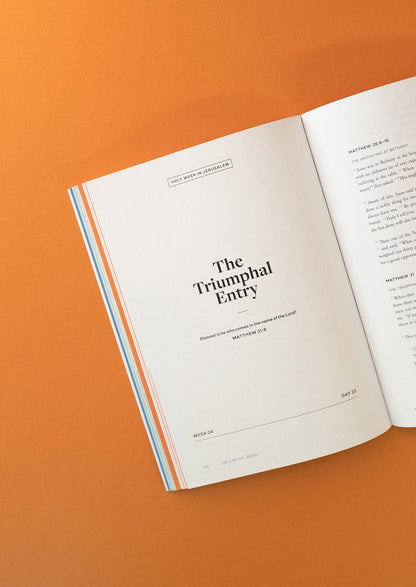 The Life of Jesus Men's Reading Guide