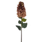Vickerman 35.5" Coffee Artificial Cone Hydrangea Spray, 2/pk: Coffee / Polyester / 35.5"