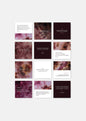 The Beatitudes Scripture Card Set