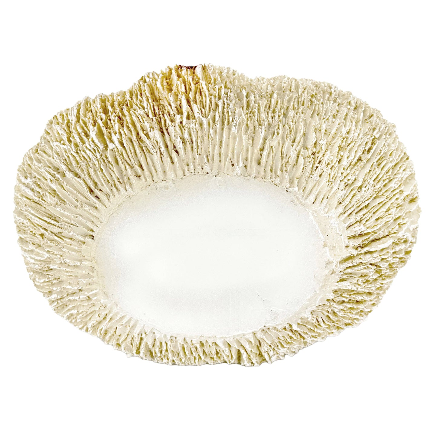 10" Sustainable Coral Texture Resin Decorative Flower Vase